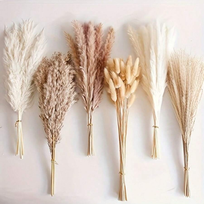 Pampas Grass Decor - 110 szt. Suszone trawy pampasowej -