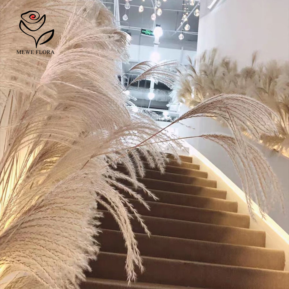 200 SZTUK Naturalnych Suszonyc – Pampas Grass Decor recenzja i cena