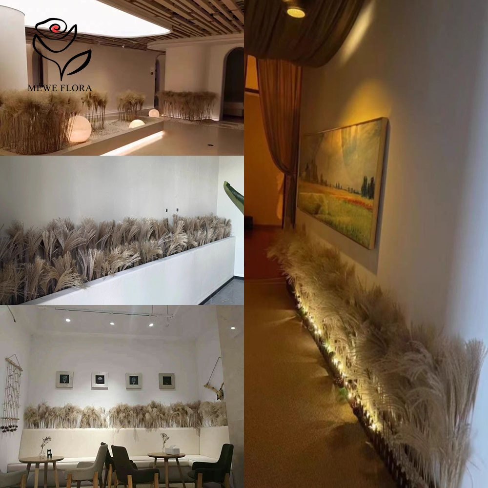 200 SZTUK Naturalnych Suszonyc – Pampas Grass Decor recenzja i cena