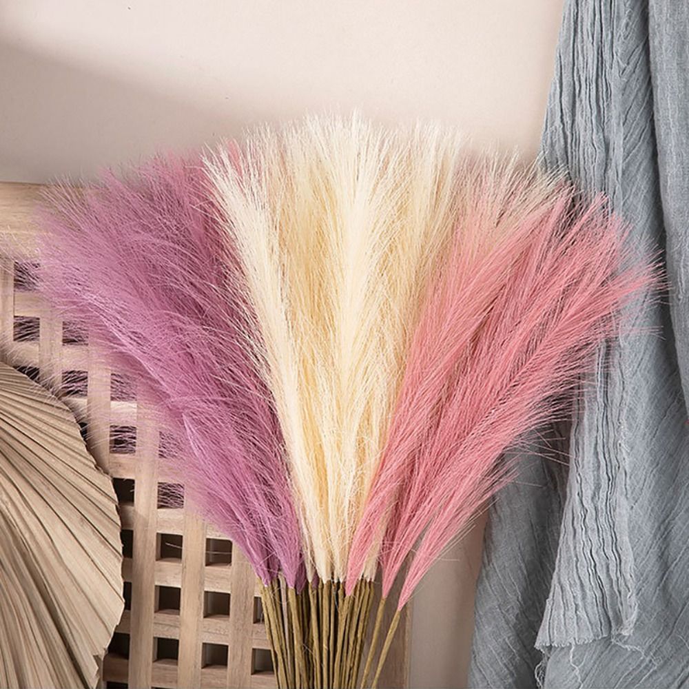 10 SZT./Zestaw Dekoracja Domu  – Pampas Grass Decor recenzja i cena