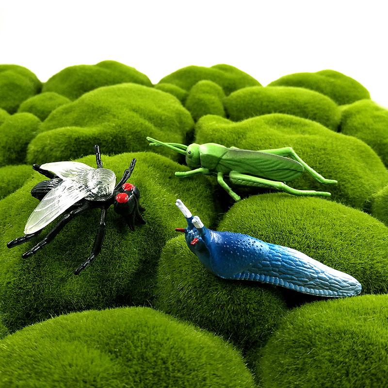 12 szt. modeli owadów i zwierz – Home Decor Humacao recenzja i cena