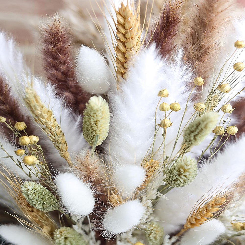 100 szt. Suszony Bukiet Trawy  – Pampas Grass Decor recenzja i cena