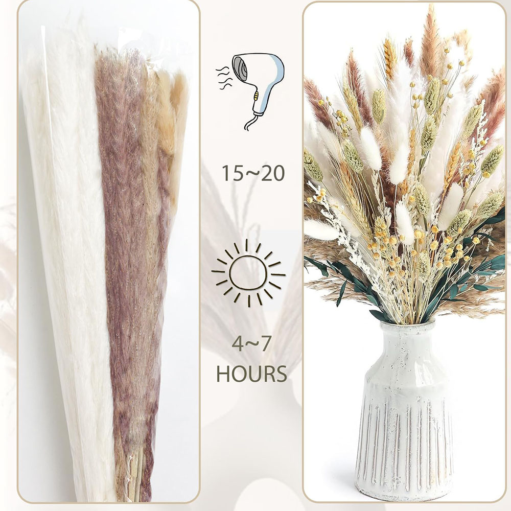 100 szt. Suszony Bukiet Trawy  – Pampas Grass Decor recenzja i cena