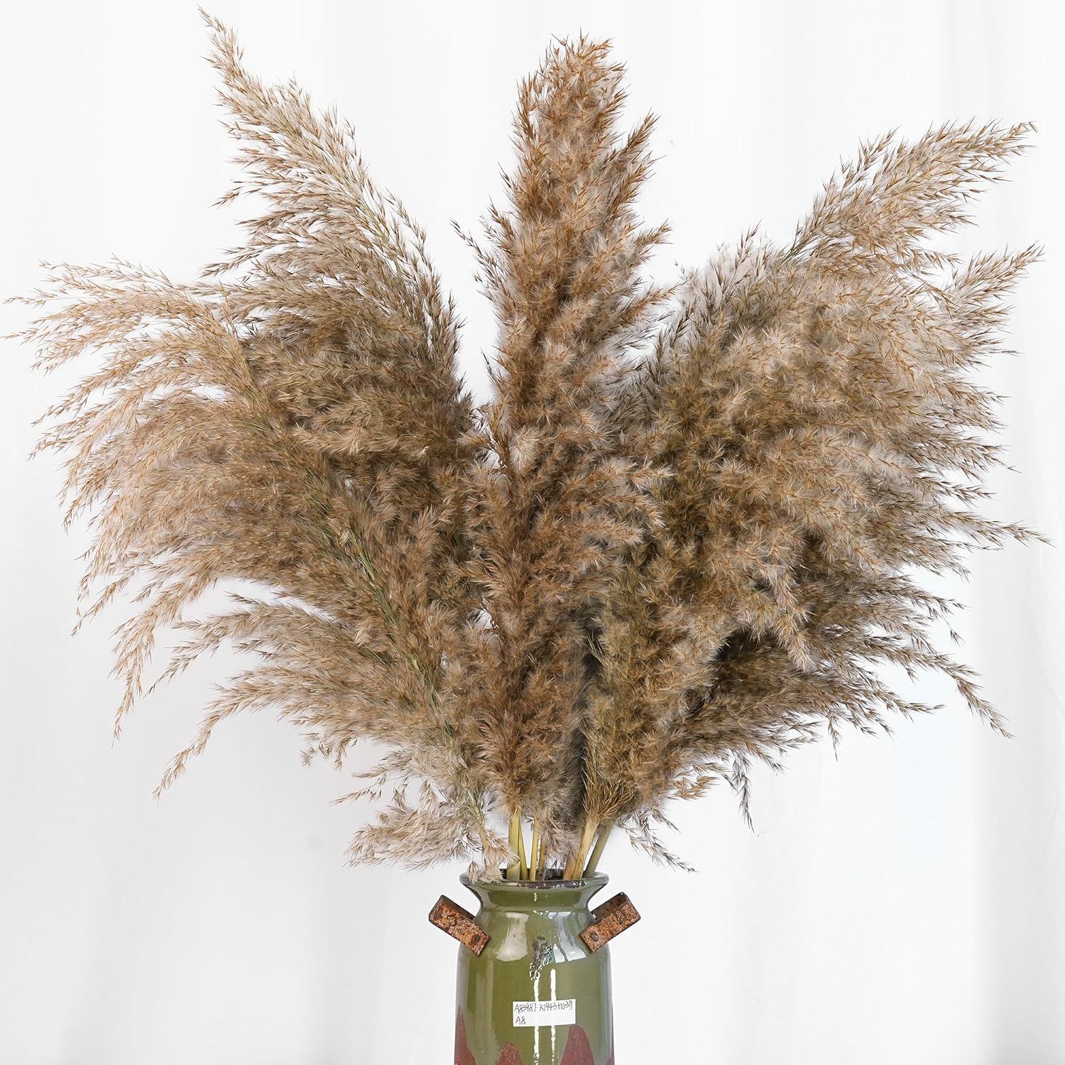 30 SZTUK BIAŁEJ TRZEWICY PAMPA – Pampas Grass Decor recenzja i cena