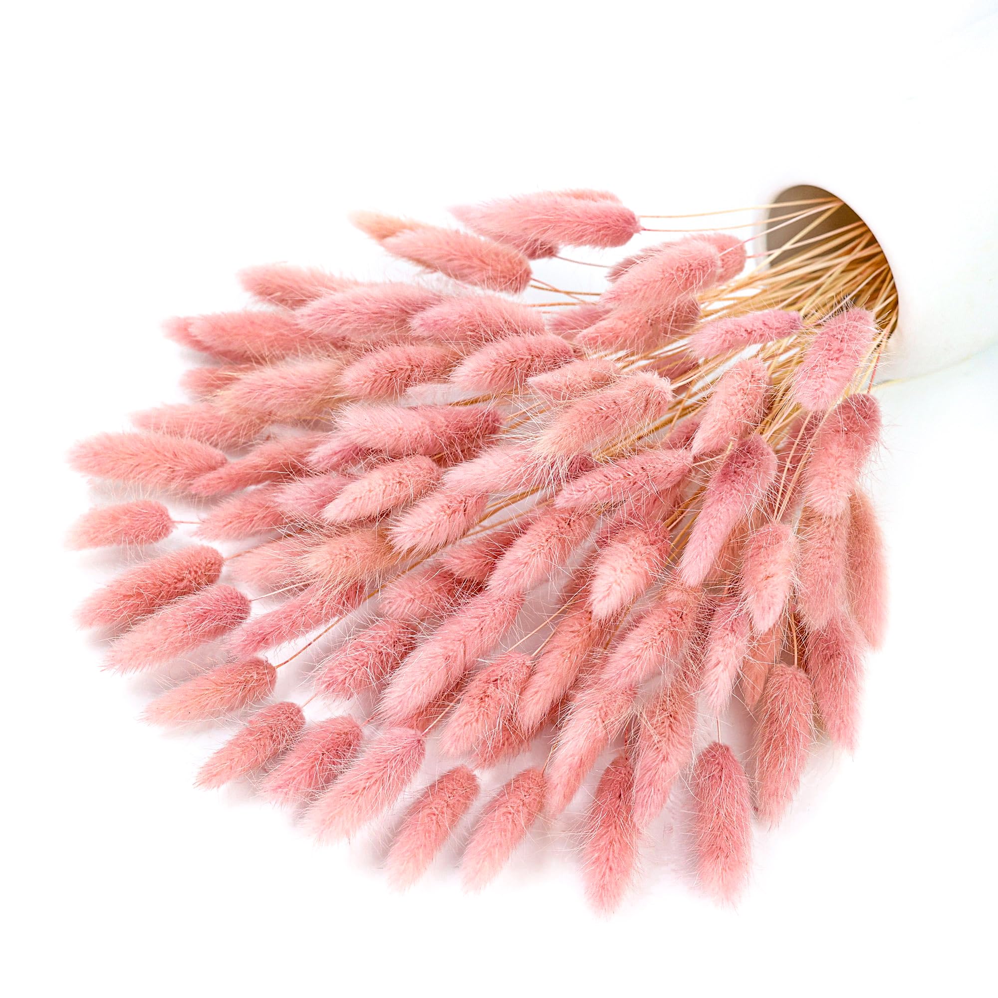 120 szt. Różowe Suszone Trawy  – Pampas Grass Decor recenzja i cena