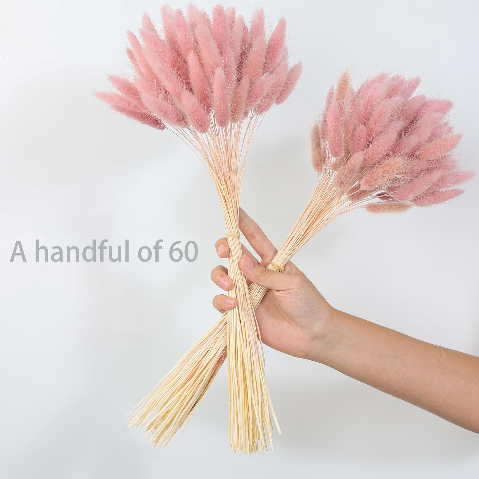 120 szt. Różowe Suszone Trawy  – Pampas Grass Decor recenzja i cena