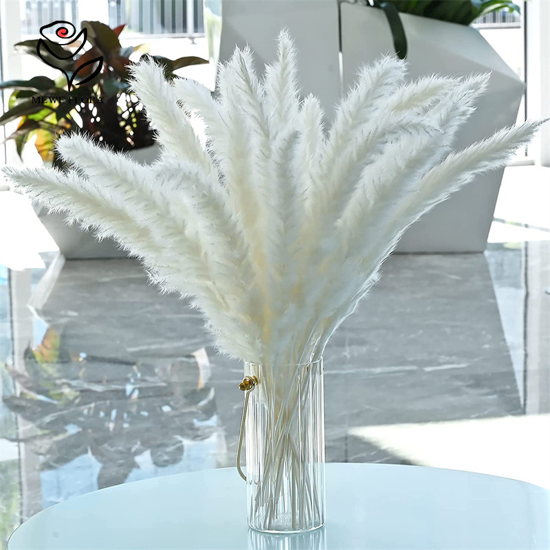 18 Łodyg Naturalnych Suszonych – Pampas Grass Decor recenzja i cena