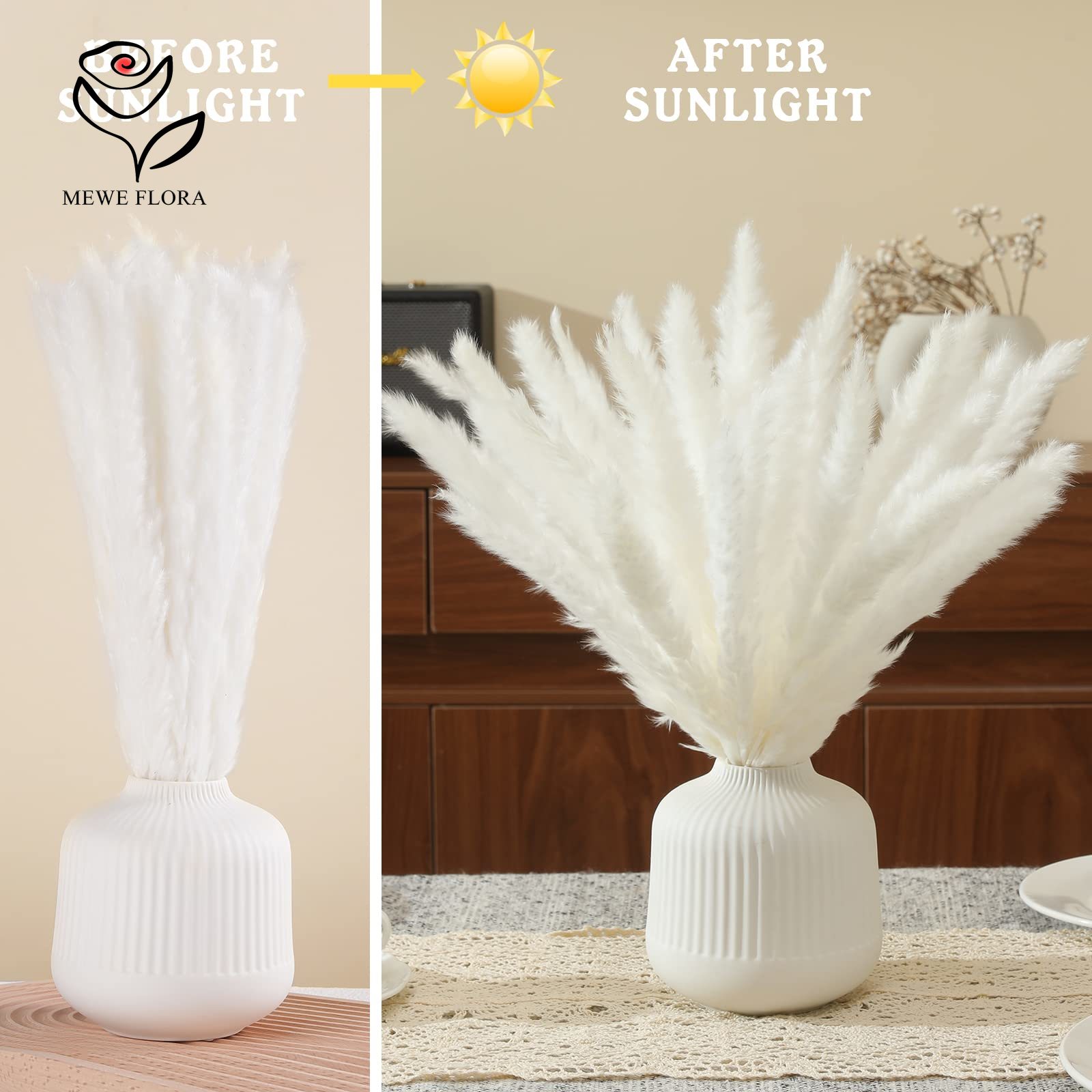 18 Łodyg Naturalnych Suszonych – Pampas Grass Decor recenzja i cena