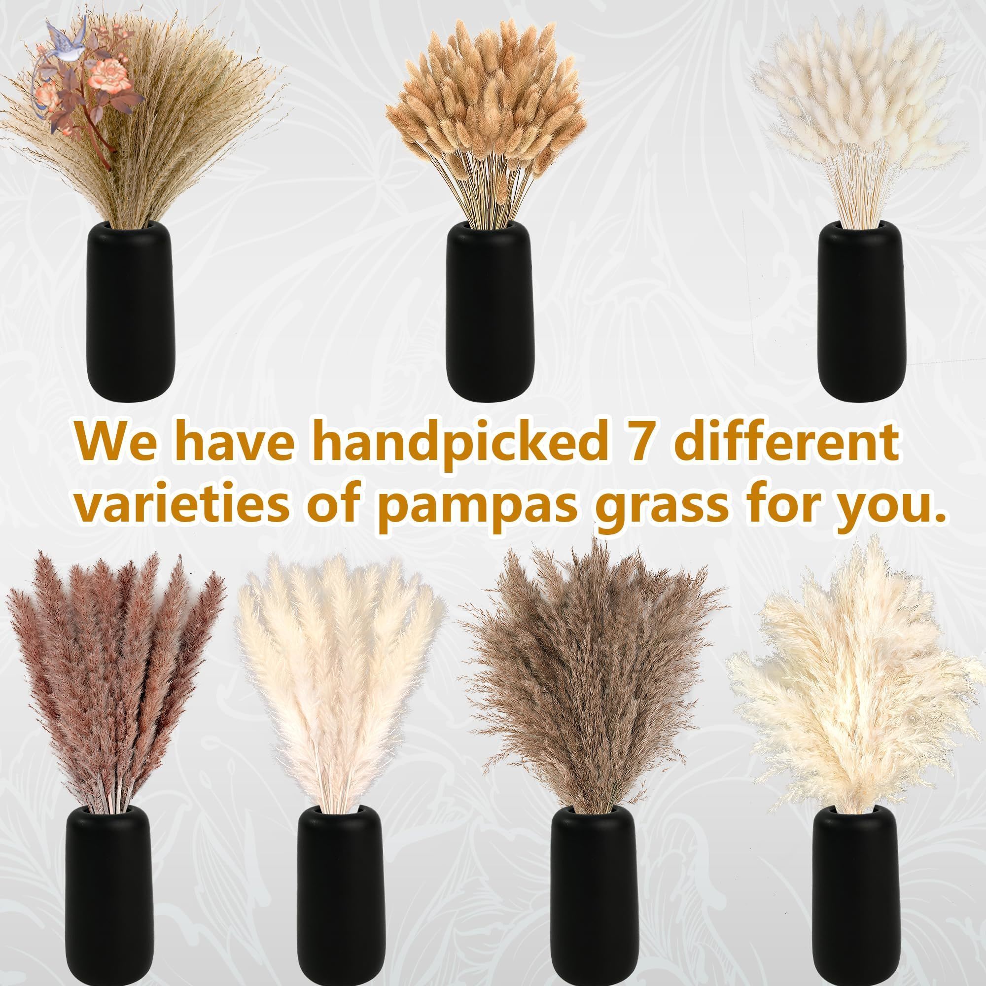 300 szt. Naturalnych, dużych b – Pampas Grass Decor recenzja i cena