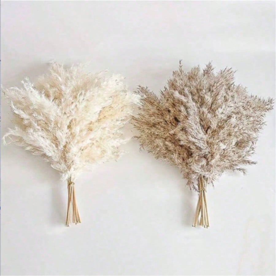10/20/30 szt. Białe Sztuczne T – Pampas Grass Decor recenzja i cena