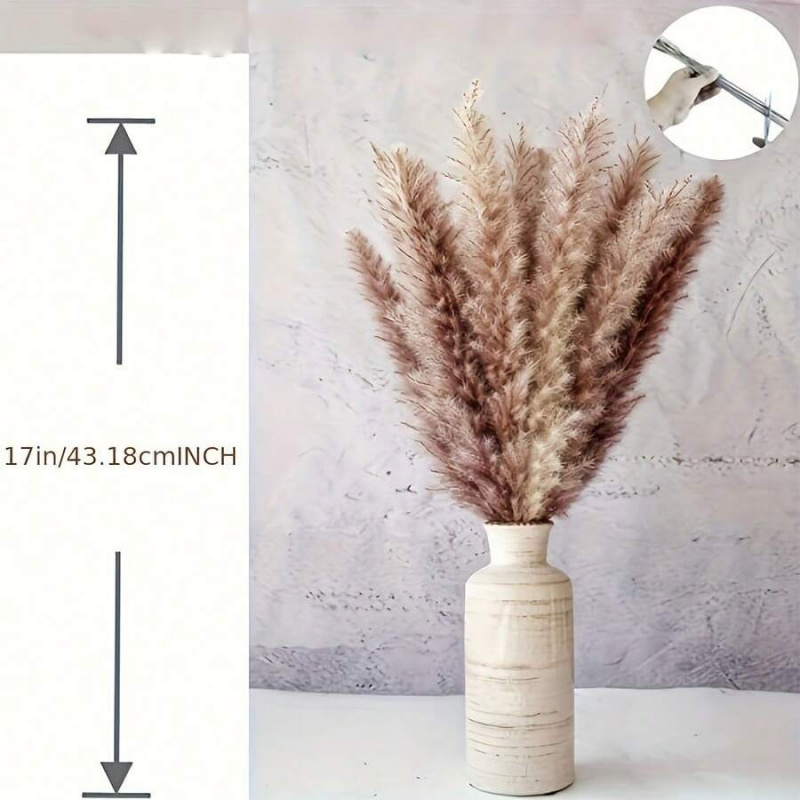 110 szt. Suszone trawy pampaso – Pampas Grass Decor recenzja i cena