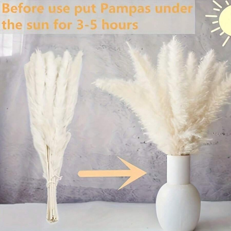 110 szt. Suszone trawy pampaso – Pampas Grass Decor recenzja i cena