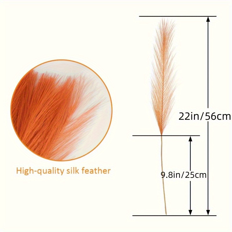 10 szt. Żywe pomarańczowe sztu – Pampas Grass Decor recenzja i cena