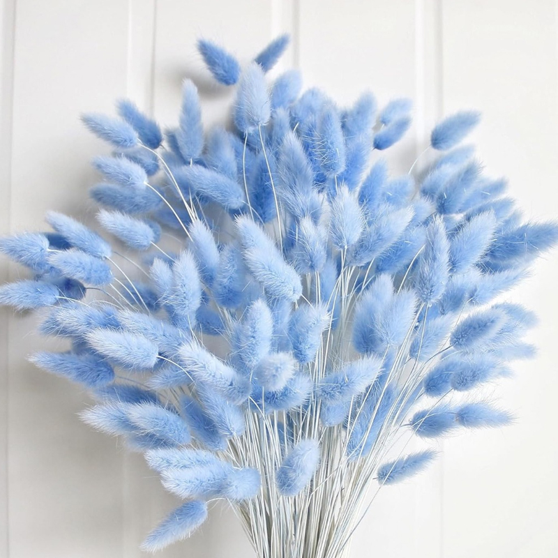 100 SZTUK Niebieska Kołyska Kr – Pampas Grass Decor recenzja i cena