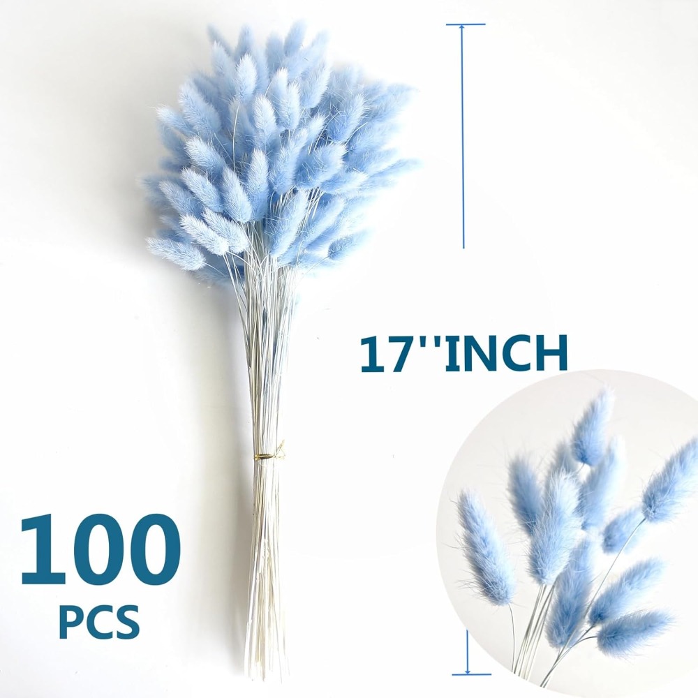 100 SZTUK Niebieska Kołyska Kr – Pampas Grass Decor recenzja i cena