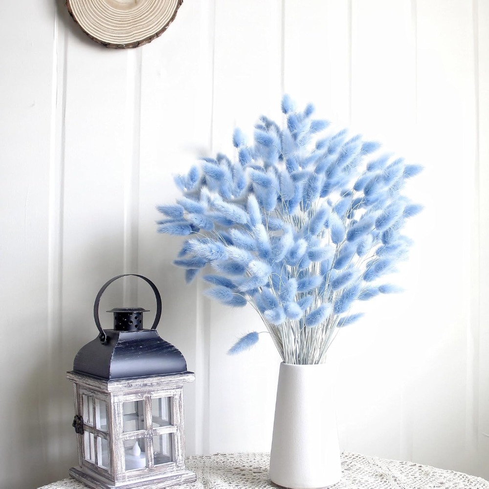 100 SZTUK Niebieska Kołyska Kr – Pampas Grass Decor recenzja i cena