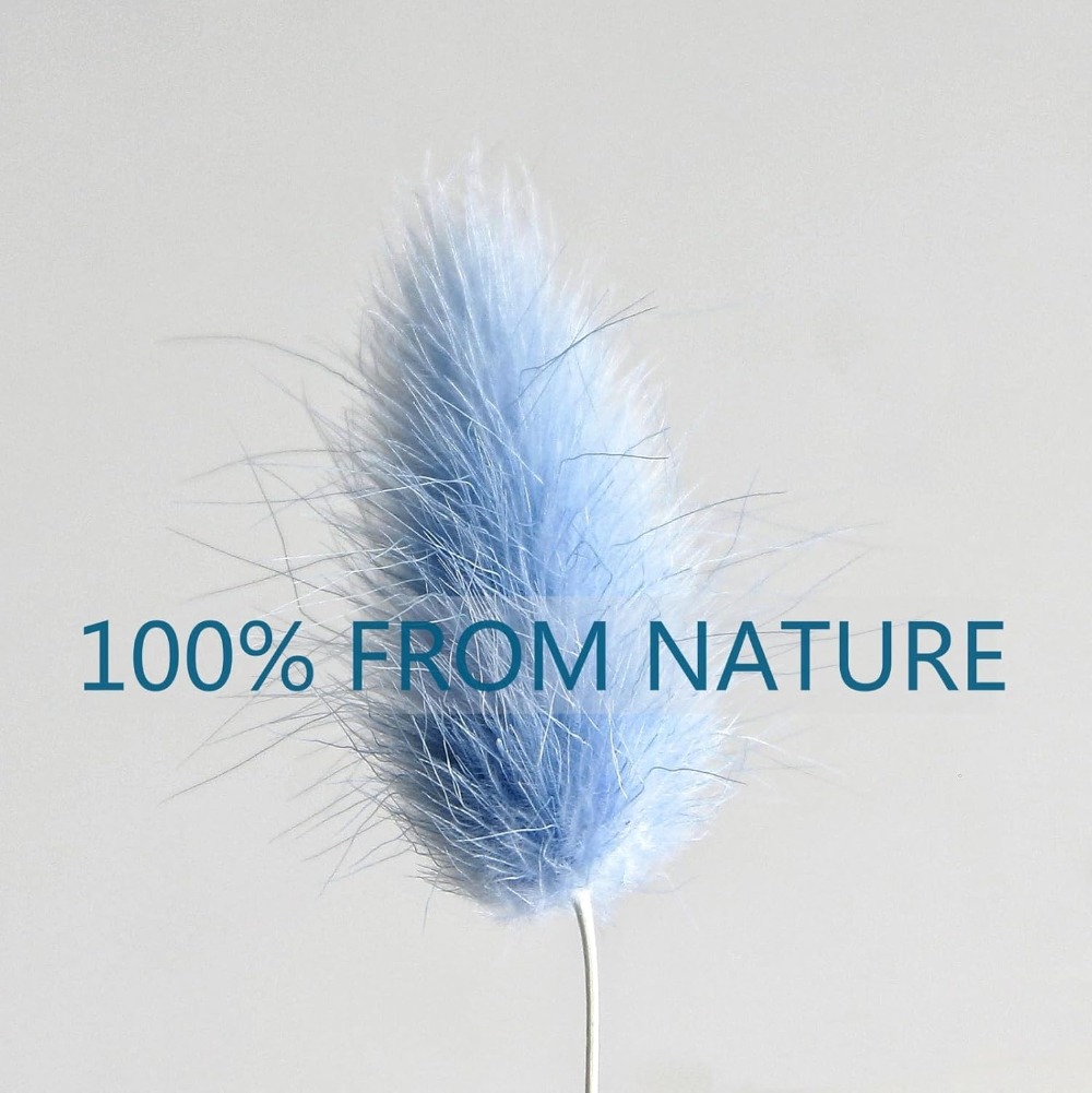 100 SZTUK Niebieska Kołyska Kr – Pampas Grass Decor recenzja i cena